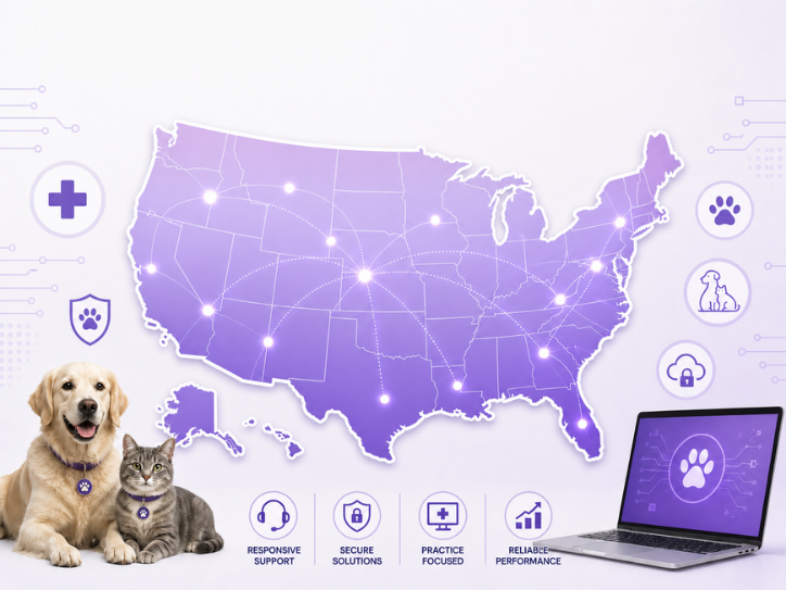 US Based Vet IT Services